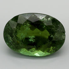 Load image into Gallery viewer, 8.76ct Green Oval Cut  Brazil Tourmaline
